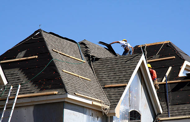 Best Roof Maintenance Services  in New Baltimore, MI