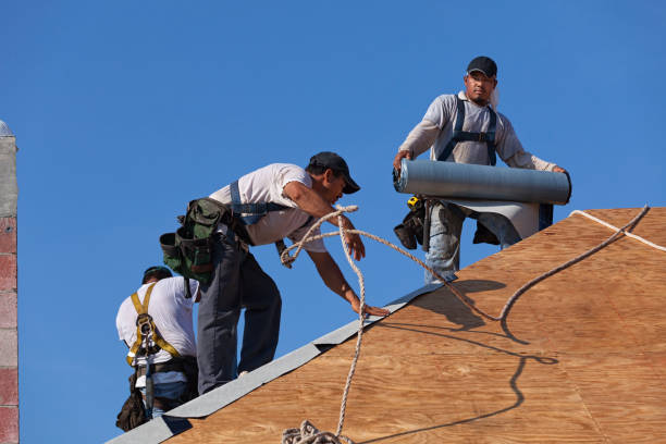 Best Local Roofing Companies  in New Baltimore, MI