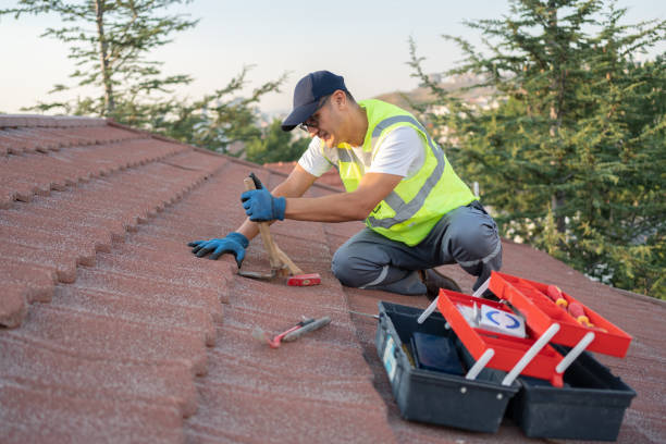 Roof Gutter Cleaning in New Baltimore, MI