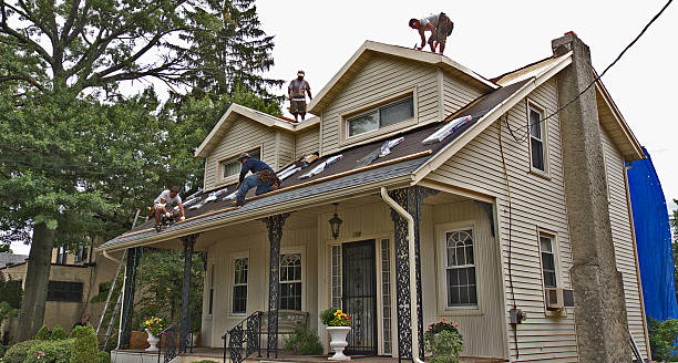 Best Roof Waterproofing Services  in New Baltimore, MI