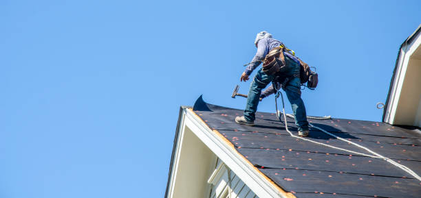 Best Storm Damage Roof Repair  in New Baltimore, MI